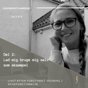 Livet efter forstyrret spisning del 2 af 6 – mig selv som eksempel